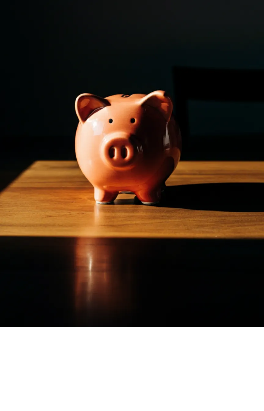 NordProtect offers affordable protection.