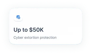 NordProtect offers up to $50k for eligible cyber extortion costs.