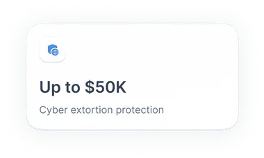 Cyber extortion protection reimburses you up to $50k.